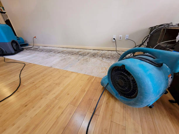 Professional Burst Pipe Water Damage technician working in Edon, OH